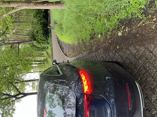 begijnenhoefstraat schade1